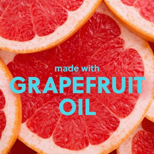 Vitamin C Shea Sugar Scrub - Image 4