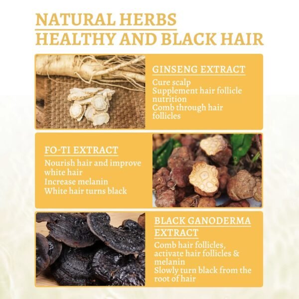 Ganoderma Nutrient Natural Darkening Serum - Image 3